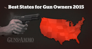best-states-gun-2015