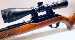 Marlin Model 60 With Scope