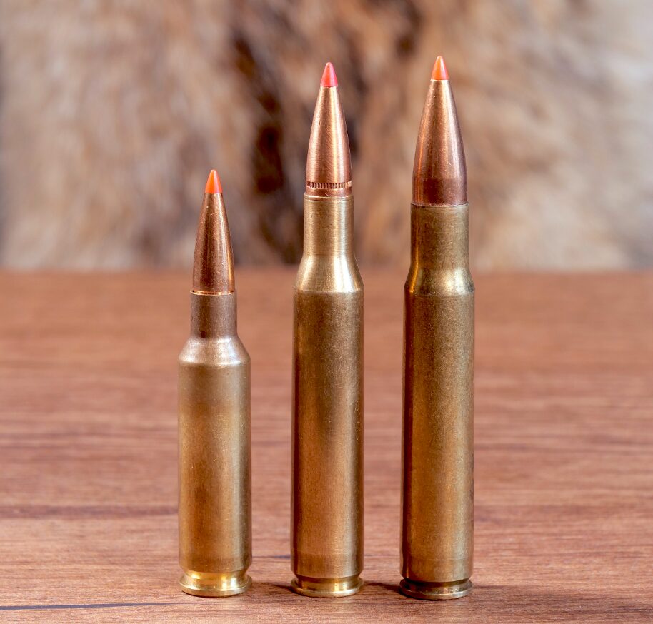.270 Winchester