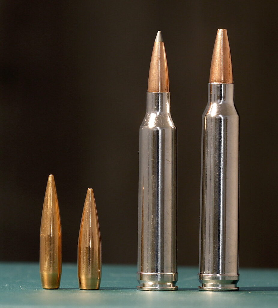 .300 Winchester Magnum