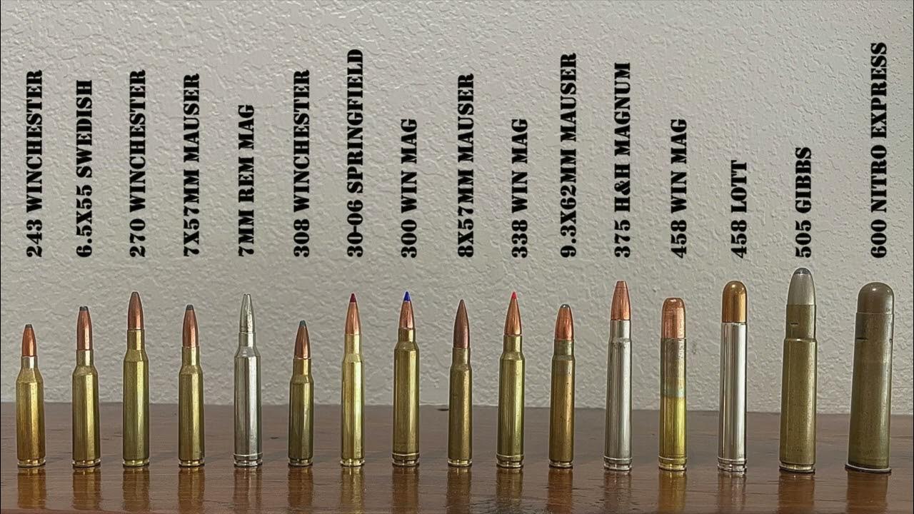 Cartridges for Big Game