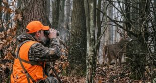 Preferred Binoculars For Pennsylvania hunters
